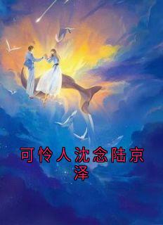 可怜人沈念陆京泽