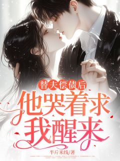 《替夫偿债后他哭着求我醒来》沈念秦宵顾景行by半斤米线免费看