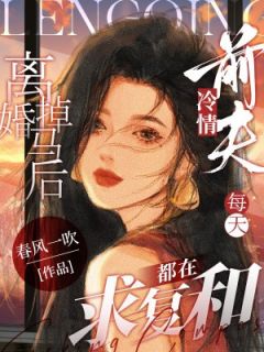 抖音小说离婚掉马后，冷情前夫每天都在求复合，主角陈曦裴放最后结局小说全文免费