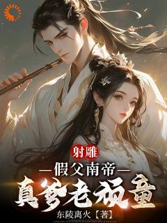 重生射雕：我就是武林一霸(段星炎刘贵妃)全文完整版阅读