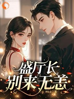 值得熬夜看完的盛厅长别来无恙小说阅读