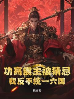 功高震主被猜忌？我反手统一六国小说最新章节 林羽周冰雪结局是什么
