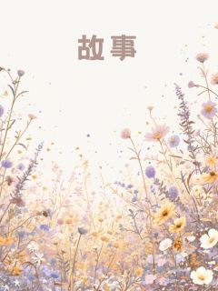 值得熬夜看完的错位三年小说阅读