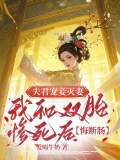 好文热推小说夫君宠妾灭妻，我和双胎惨死后他悔断肠主角萧岐柳姿全文在线阅读