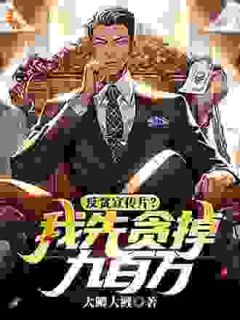 反贪宣传片？我先贪掉九百万！小说的书名是什么
