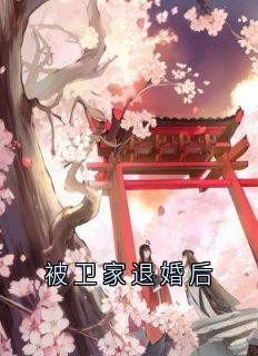 被卫家退婚后小说_被卫家退婚后小说结局阅读
