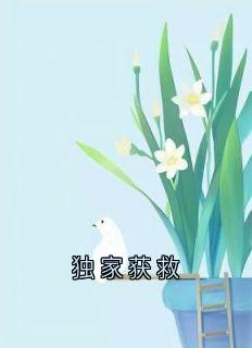 《独家获救》林微沈行川秦野小说全章节最新阅读