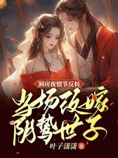 改嫁计划赵慎纪云舒