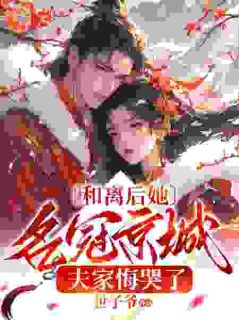 和离之后嫁给了国公夫人