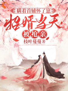 怀了首辅的崽，我却只想给娃找后爹