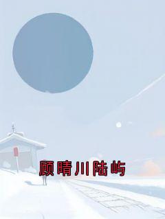 顾晴川陆屿