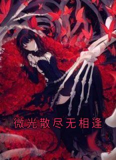 微光散尽无相逢