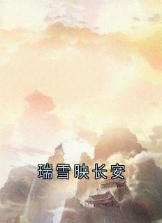 瑞雪映长安