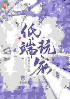 低端玩家