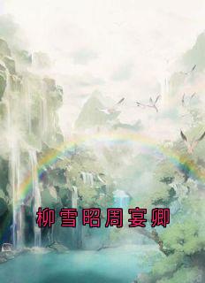 柳雪昭周宴卿