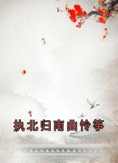 执北归南曲怜筝小说(完本)-江婉清苏执北无错版阅读