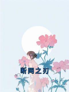 断网之刃