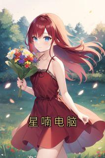 星喃电脑