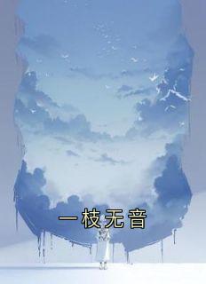 一枝无音
