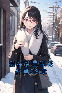我在梦里等花开第28章