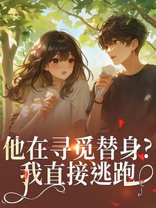 离婚吧叶先生，我怀了别人的孩子